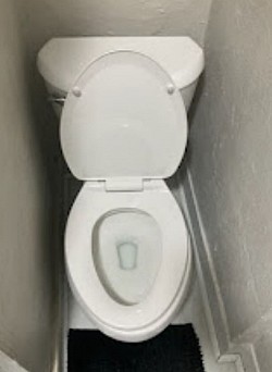 ✨Residential Bathroom Toilet Clean✨