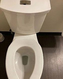 ✨Doctor's Office Clean Toilet✨